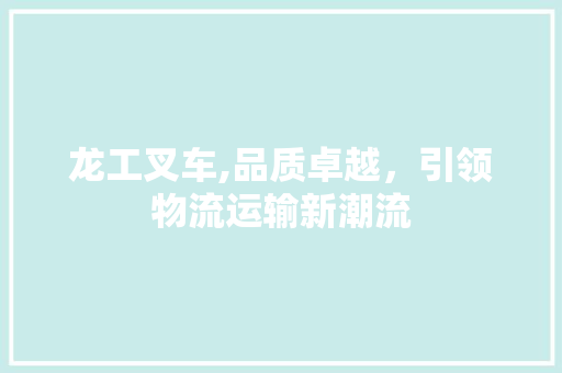 龙工叉车,品质卓越，引领物流运输新潮流 底盘配件
