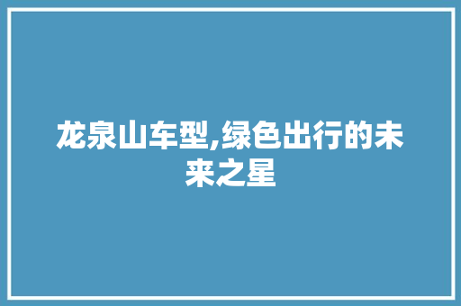 龙泉山车型,绿色出行的未来之星