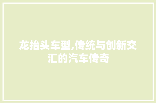 龙抬头车型,传统与创新交汇的汽车传奇 车身配件