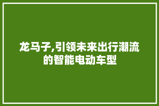 龙马子,引领未来出行潮流的智能电动车型