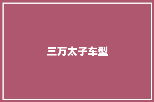 三万太子车型