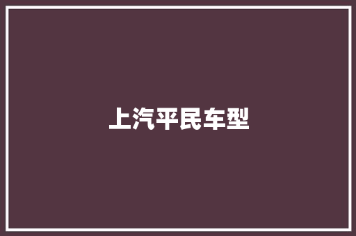 上汽平民车型