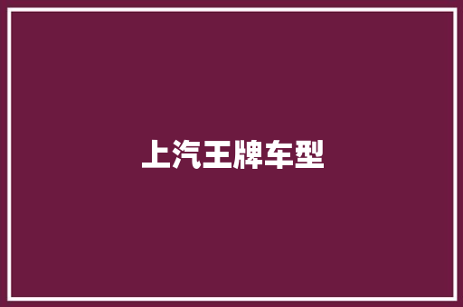上汽王牌车型