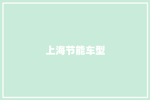 上海节能车型