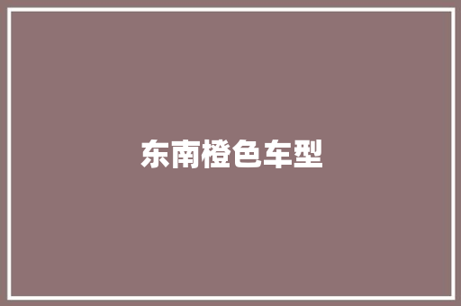 东南橙色车型