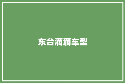 东台滴滴车型
