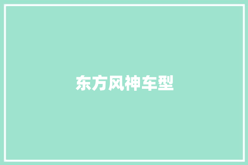 东方风神车型