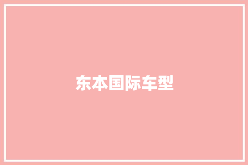 东本国际车型