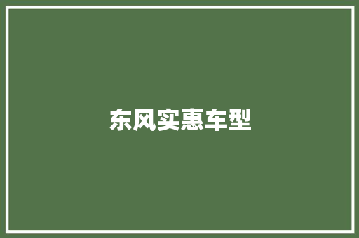 东风实惠车型