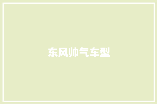 东风帅气车型 底盘配件
