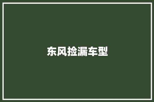 东风捡漏车型