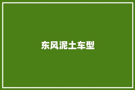 东风泥土车型