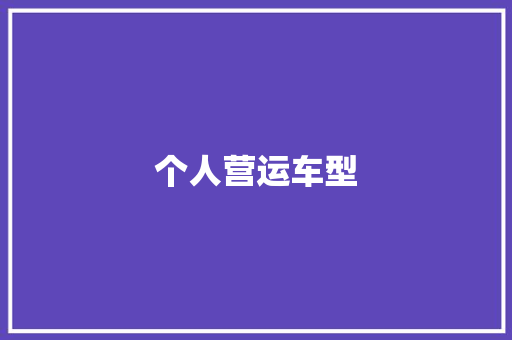 个人营运车型