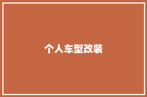 个人车型改装