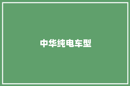 中华纯电车型