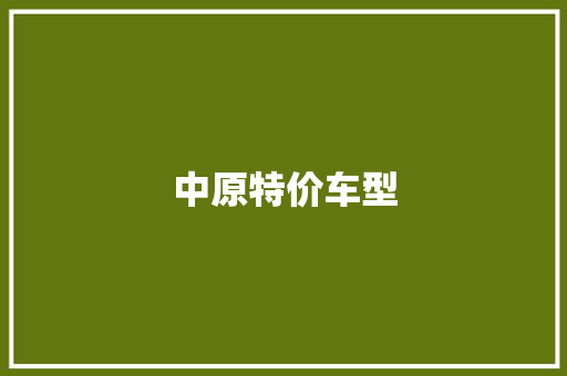 中原特价车型