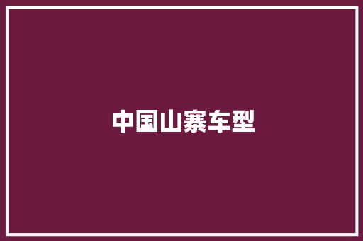 中国山寨车型