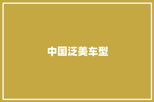 中国泛美车型