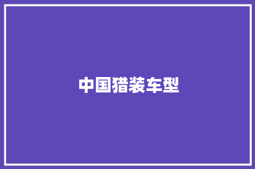中国猎装车型