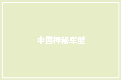中国神秘车型