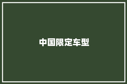 中国限定车型