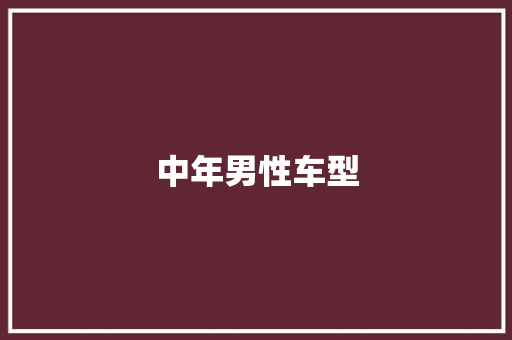 中年男性车型