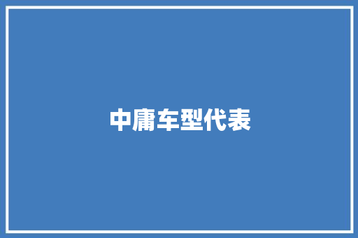 中庸车型代表