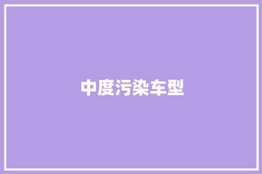 中度污染车型