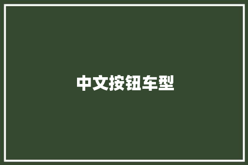 中文按钮车型