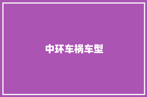 中环车祸车型