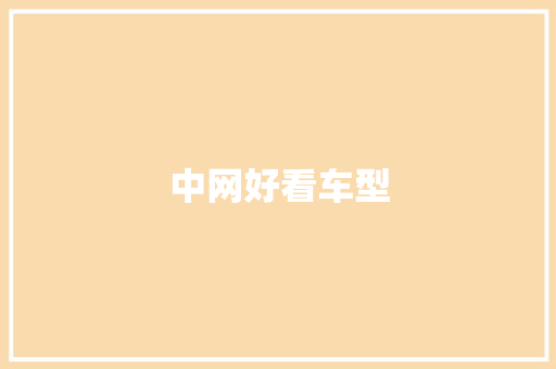 中网好看车型