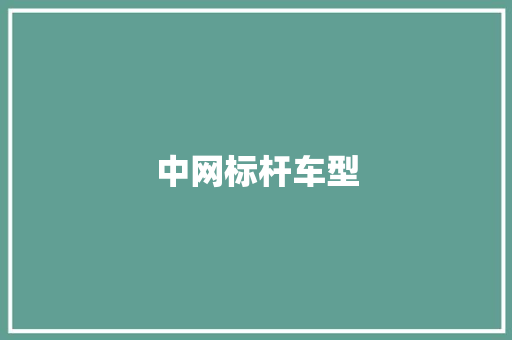 中网标杆车型