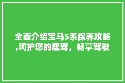 全面介绍宝马5系保养攻略,呵护您的座驾，畅享驾驶之旅 车灯配件