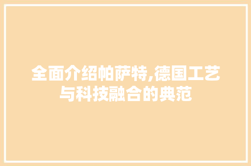 全面介绍帕萨特,德国工艺与科技融合的典范