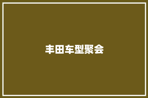 丰田车型聚会
