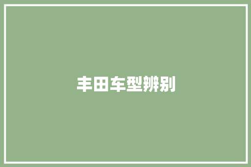 丰田车型辨别