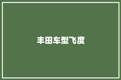 丰田车型飞度