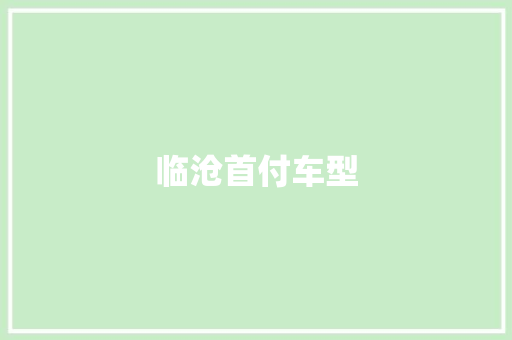 临沧首付车型