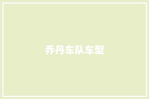 乔丹车队车型