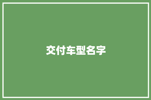 交付车型名字