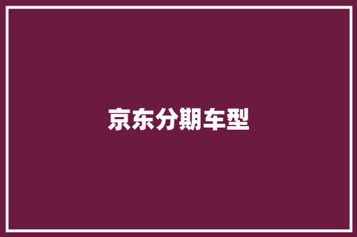京东分期车型
