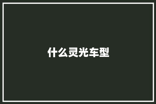 什么灵光车型
