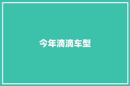 今年滴滴车型