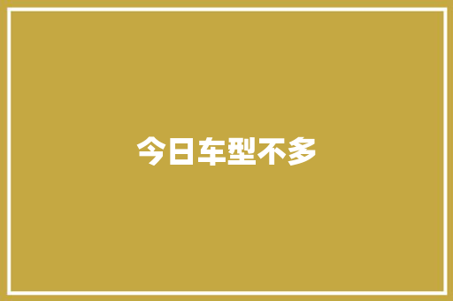 今日车型不多