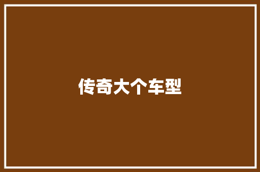 传奇大个车型