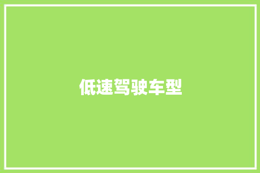 低速驾驶车型