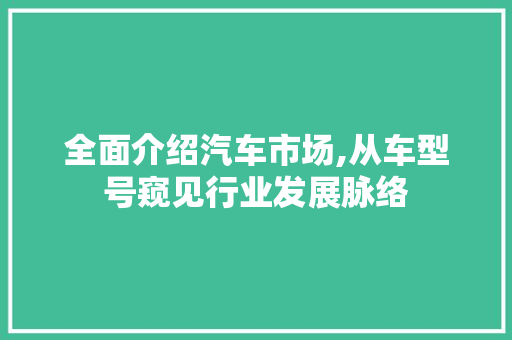 全面介绍汽车市场,从车型号窥见行业发展脉络
