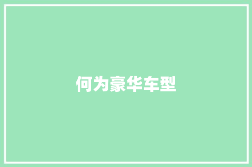 何为豪华车型