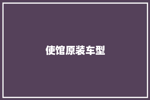 使馆原装车型