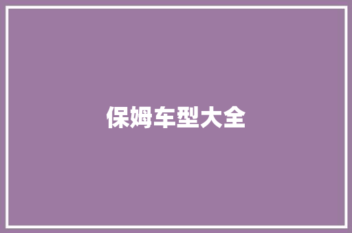 保姆车型大全